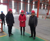 鎮(zhèn)黨委書記帶隊開展歲末年初安全生產檢